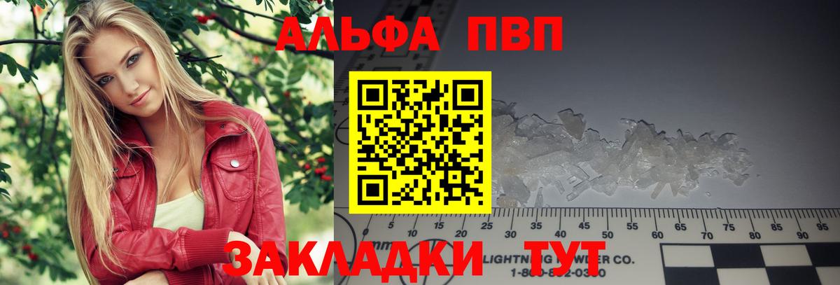 Альфа ПВП СК КРИС Кандалакша