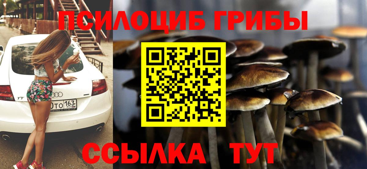 Псилоцибиновые грибы мухоморы Кандалакша