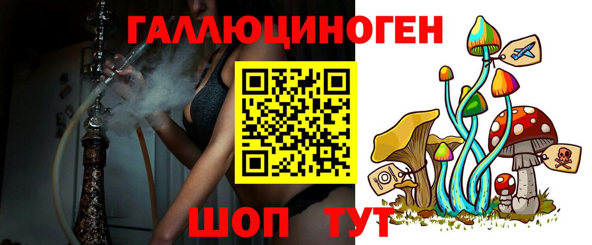 Кандалакша  Псилоцибиновые грибы Cubensis  Вход с VPN  Псилоцибиновые грибы MAGIC MUSHROOMS 